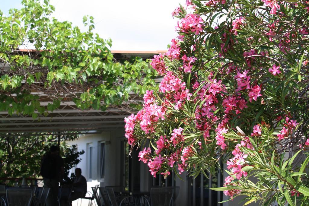 Vila Stosic Razanac Exterior photo